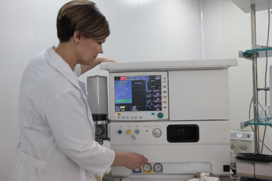 Петербуржцы массово проходят обследование для оценки репродуктивного здоровья